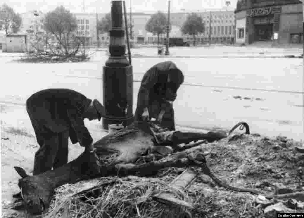 Жителі Берліну відрізають шматок м&#39;яса з коня. Травень 1945 року