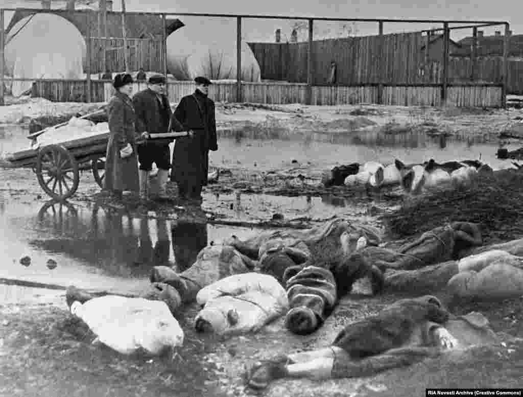 Чоловіки прибули для збирання тіл жертв оборони Ленінграду в жовтні 1942 року. Не зумівши захопити Ленінграду, очолювані нацистами сили оточили це північне місто з метою заморити голодом населення